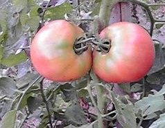 2010080117190000