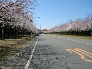 CIMG7978