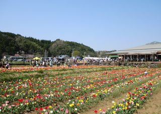 CIMG8097