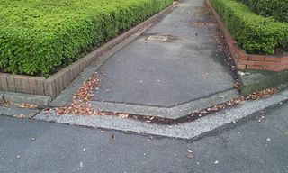 落ち葉