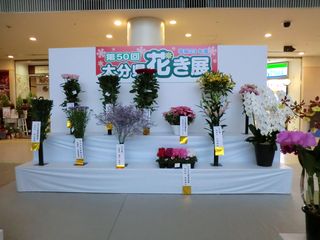 CIMG0124