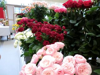 CIMG0119
