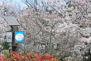 CIMG0724