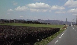 2010031111580000