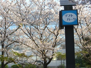 Cimg6198_3