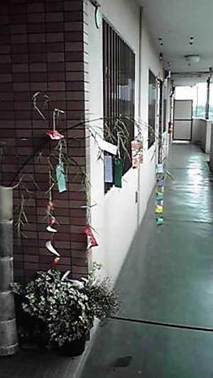2010070617490001